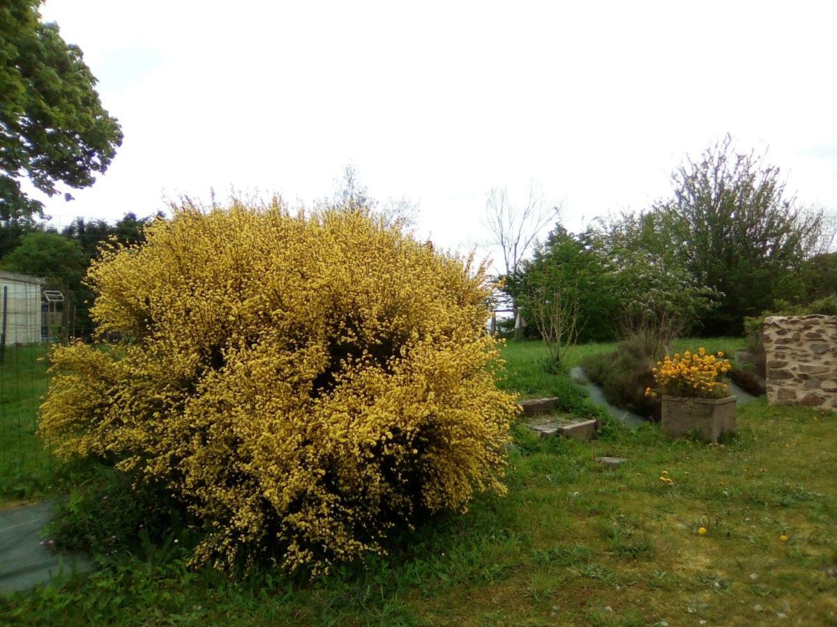 Villa La Ferme De La Baconnerie Sainte-Marguerite-d'Elle Exterior foto